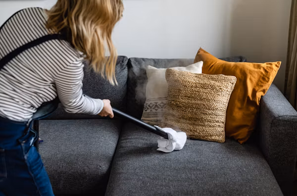 Apartment Cleaning
