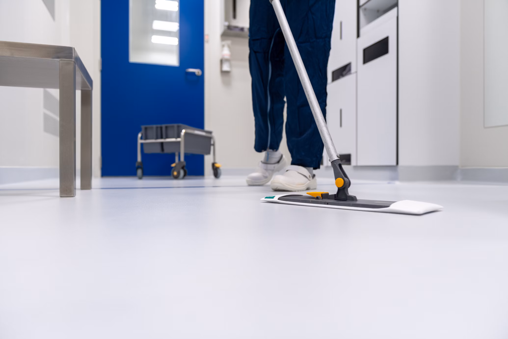 Cleaning Services